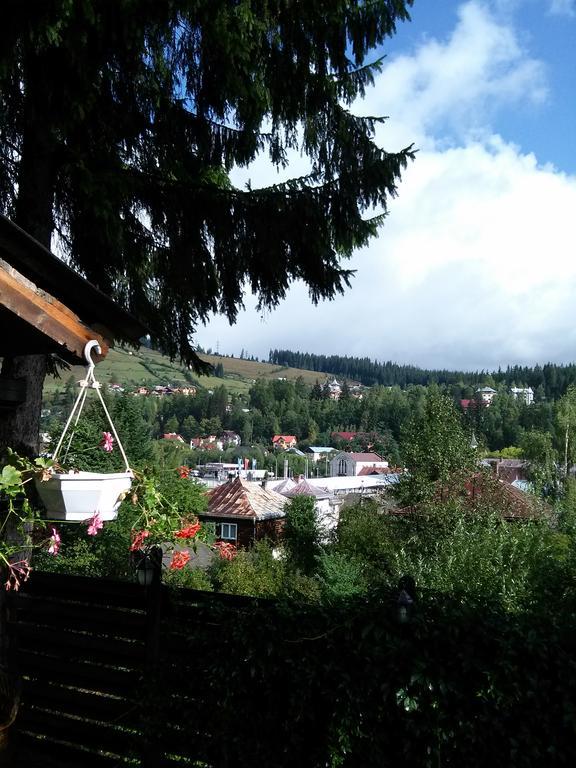 Vila Dariana Vatra Dornei Eksteriør bilde